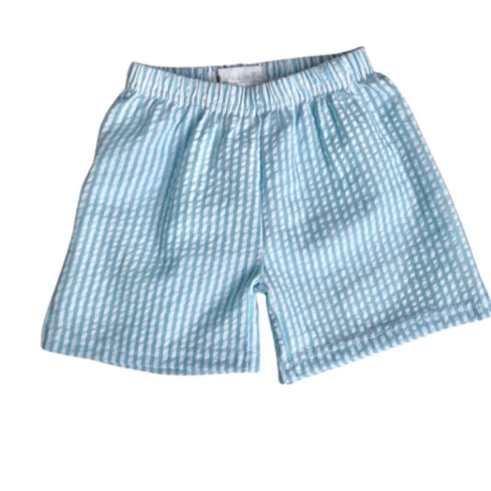 Aqua Seersucker/Gingham Shorts